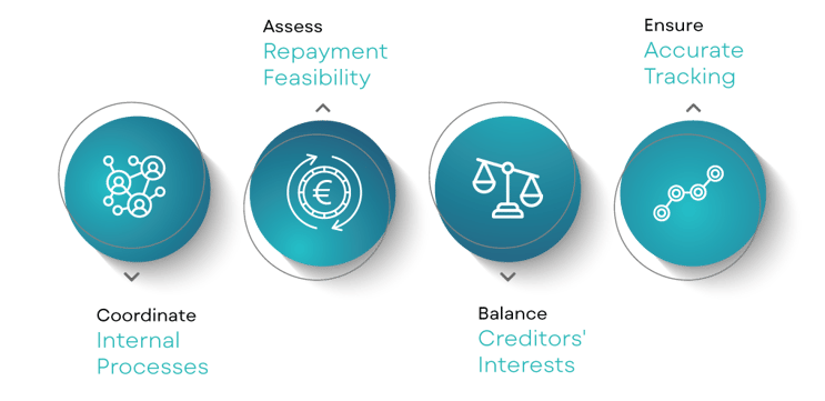 Hybrid Strategy_Schemas (1)