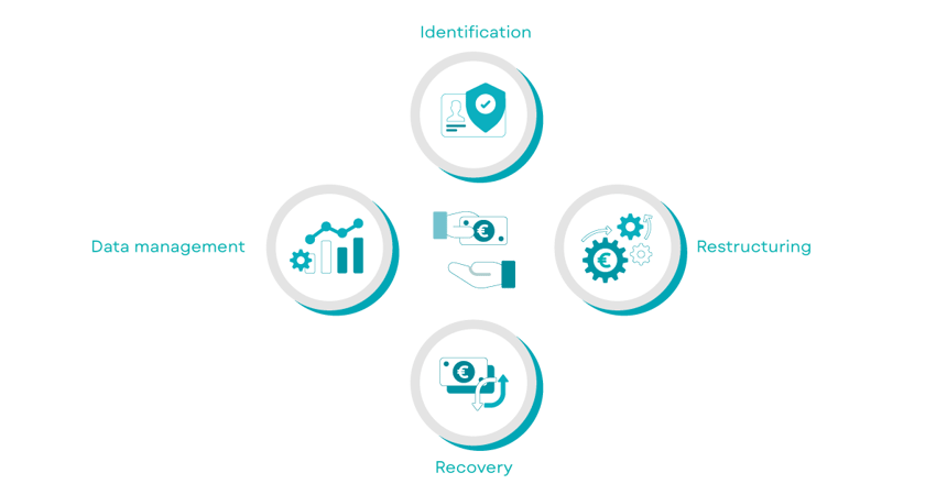 Non-Performing Loans Management